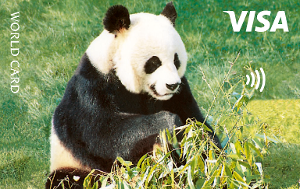 Visa World Card Panda