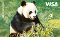 Visa World Card Panda